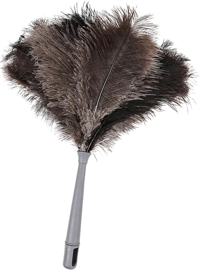 FeelfunFeather Feather Duster-Genuine Ostrich Feathers,Anti-Static,Reusable Eco-Friendly Handheld Cleaning for Keyboard,Home,Car,Office(17Inch,1Pack) - Image 1